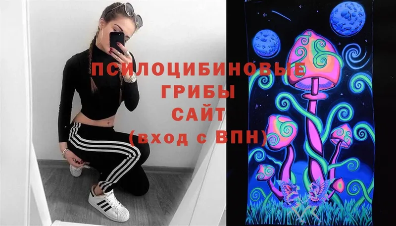 Псилоцибиновые грибы Magic Shrooms  Гаджиево 